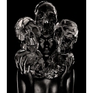 The Painted Skulls II,Rankin/Damien Hirst,Platinum Palladium Print,2011, DC Editions